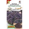Базилик декоративный Ажурный карлик Аэлита (40290): купить семена почтой в России | интернет-магазин Беккер