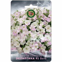 Петуния каскадная Эклиптика Вега F1 Биотехника (40441): купить семена почтой в России | интернет-магазин Беккер
