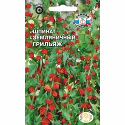 Шпинат земляничный Грильяж Седек (40541): купить семена почтой в России | интернет-магазин Беккер