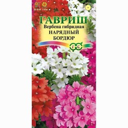 Вербена гибридная Нарядный бордюр, смесь окрасок Гавриш (71143): купить семена почтой в России | интернет-магазин Беккер