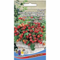 Томат Непасынкующийся вишневовидный Уральский дачник (74249): купить семена почтой в России | интернет-магазин Беккер