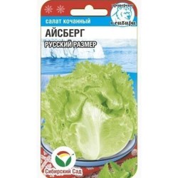 Салат кочанный Айсберг Русский размер Сибирский сад (97144): купить семена почтой в России | интернет-магазин Беккер