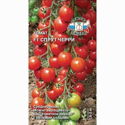 Томат Спрут черри F1 Седек (65190): купить семена почтой в России | интернет-магазин Беккер