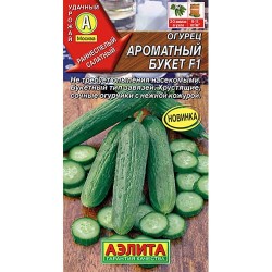 Огурец Ароматный букет F1 Аэлита (98384): купить семена почтой в России | интернет-магазин Беккер