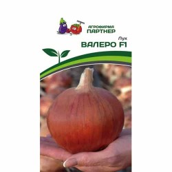 Лук репчатый Валеро F1 Партнер (88083): купить семена почтой в России | интернет-магазин Беккер