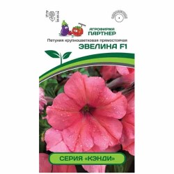 Петуния прямостоячая Кэнди Эвелина F1 Партнер (40744): купить семена почтой в России | интернет-магазин Беккер