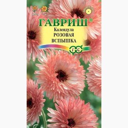 Календула Розовая вспышка Гавриш (97688): купить семена почтой в России | интернет-магазин Беккер