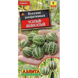 Кукумис декоративный Усатый-полосатый Аэлита (98980): купить семена почтой в России | интернет-магазин Беккер