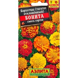 Бархатцы отклоненный (тагетес) Бонита, смесь окрасок Аэлита (98870): купить семена почтой в России | интернет-магазин Беккер