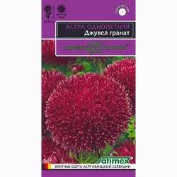 Астра игольчато-коготковая Джувел Гранат Гавриш (73785): купить семена почтой в России | интернет-магазин Беккер