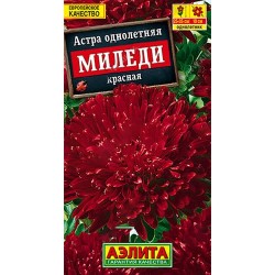 Астра Миледи красная Аэлита (98851): купить семена почтой в России | интернет-магазин Беккер