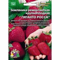 Земляника ремонтантная (крупноплодная) Гиганто Росса Уральский дачник (40650): купить семена почтой в России | интернет-магазин 