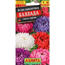 Астра Баллада, смесь окрасок Аэлита (98839): купить семена почтой в России | интернет-магазин Беккер