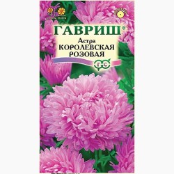 Астра Королевская розовая Гавриш (97585): купить семена почтой в России | интернет-магазин Беккер