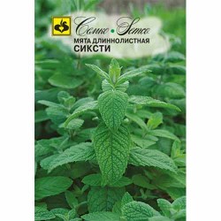 Мята длиннолистная Сиксти Семко (94257): купить семена почтой в России | интернет-магазин Беккер