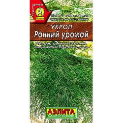 Укроп Ранний урожай Аэлита (98780): купить семена почтой в России | интернет-магазин Беккер
