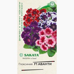 Глоксиния Аванти F1, смесь окрасок Гавриш (97668): купить семена почтой в России | интернет-магазин Беккер