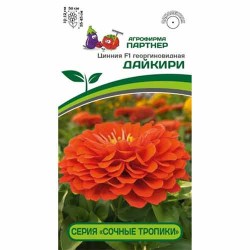 Цинния георгиновидная Сочные тропики Дайкири F1 Партнер (84826): купить семена почтой в России | интернет-магазин Беккер