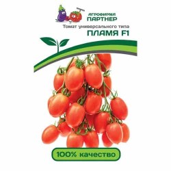 Томат Пламя F1 Партнер (73469): купить семена почтой в России | интернет-магазин Беккер