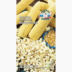 Кукуруза (поп-корн) Воздушная Седек (98023): купить семена почтой в России | интернет-магазин Беккер