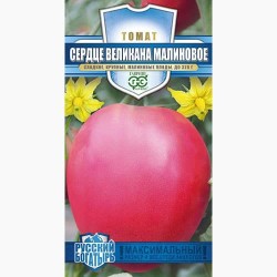 Томат Сердце великана малиновое Гавриш (97541): купить семена почтой в России | интернет-магазин Беккер