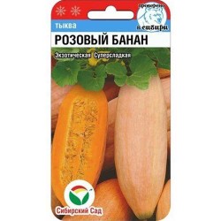 Тыква Розовый банан Сибирский сад (84971): купить семена почтой в России | интернет-магазин Беккер