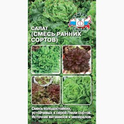 Салат листовой Смесь ранних сортов, смесь сортов Седек (98090): купить семена почтой в России | интернет-магазин Беккер