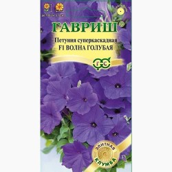 Петуния (минитуния) суперкаскадная Волна голубая F1 Гавриш (97763): купить семена почтой в России | интернет-магазин Беккер