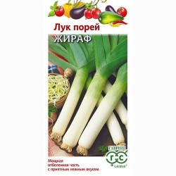 Лук порей Жираф Гавриш (91734): купить семена почтой в России | интернет-магазин Беккер