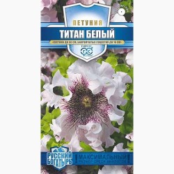 Петуния крупноцветковая Титан белый Гавриш (97777): купить семена почтой в России | интернет-магазин Беккер