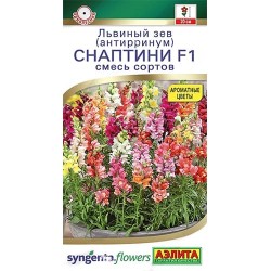 Львиный зев ( антирринум) Снаптини F1, смесь окрасок Аэлита (40354): купить семена почтой в России | интернет-магазин Беккер