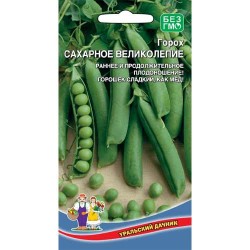 Горох Сахарное великолепие Уральский дачник (74153): купить семена почтой в России | интернет-магазин Беккер