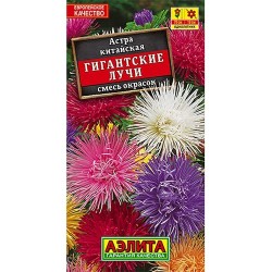 Астра китайская Гигантские лучи, смесь окрасок Аэлита (98828): купить семена почтой в России | интернет-магазин Беккер