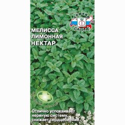 Мелисса Нектар Седек (84912): купить семена почтой в России | интернет-магазин Беккер