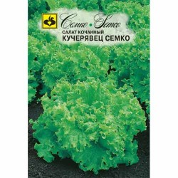 Салат кочанный Кучерявец Семко Семко (82653): купить семена почтой в России | интернет-магазин Беккер
