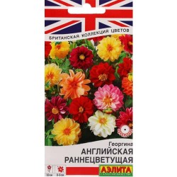 Георгина раннецветущая Английская, смесь окрасок Аэлита (98930): купить семена почтой в России | интернет-магазин Беккер