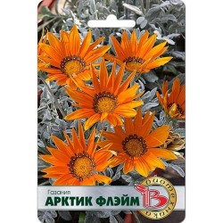 Газания Арктик Флэйм Биотехника (91581): купить семена почтой в России | интернет-магазин Беккер