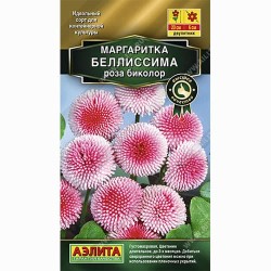 Маргаритка Беллиссима роза биколор Аэлита (87923): купить семена почтой в России | интернет-магазин Беккер