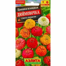 Цинния изящная Дюймовочка, смесь окрасок Аэлита (99192): купить семена почтой в России | интернет-магазин Беккер