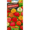 Цинния изящная Дюймовочка, смесь окрасок Аэлита (99192): купить семена почтой в России | интернет-магазин Беккер