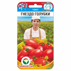 Томат Гнездо голубки Сибирский сад (88094): купить семена почтой в России | интернет-магазин Беккер
