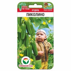Огурец Пиколино F1 Сибирский сад (88104): купить семена почтой в России | интернет-магазин Беккер