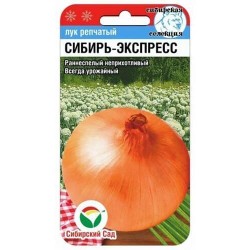 Лук репчатый Сибирь-Экспресс Сибирский сад (97143): купить семена почтой в России | интернет-магазин Беккер