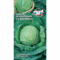 Капуста белокочанная Экспресс F1 Седек (40468): купить семена почтой в России | интернет-магазин Беккер