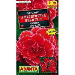 Бегония Америгибрид Пикоти красное кружево F1 Аэлита (98882): купить семена почтой в России | интернет-магазин Беккер
