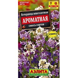 Вечерница Ароматная, смесь окрасок Аэлита (40312): купить семена почтой в России | интернет-магазин Беккер