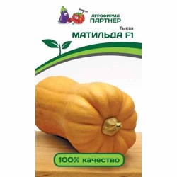 Тыква Матильда F1 Партнер (81073): купить семена почтой в России | интернет-магазин Беккер