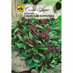 Базилик Сиамская Королева Семко (84941): купить семена почтой в России | интернет-магазин Беккер
