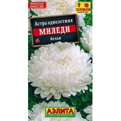 Астра Миледи белая Аэлита (40282): купить семена почтой в России | интернет-магазин Беккер