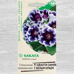 Глоксиния Аванти синяя с белым краем F1 Гавриш (82363): купить семена почтой в России | интернет-магазин Беккер